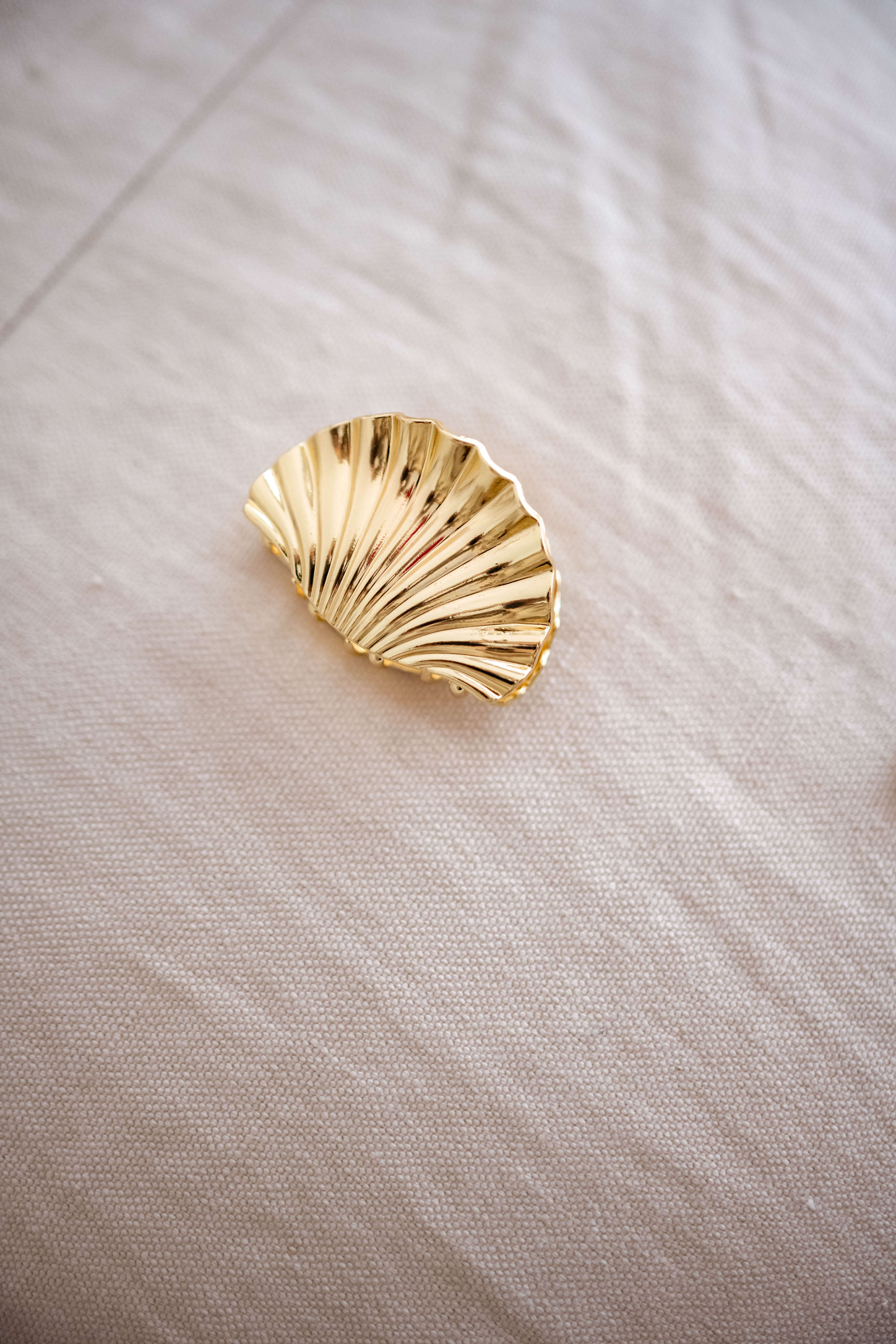 Golden Shell Hair Clip