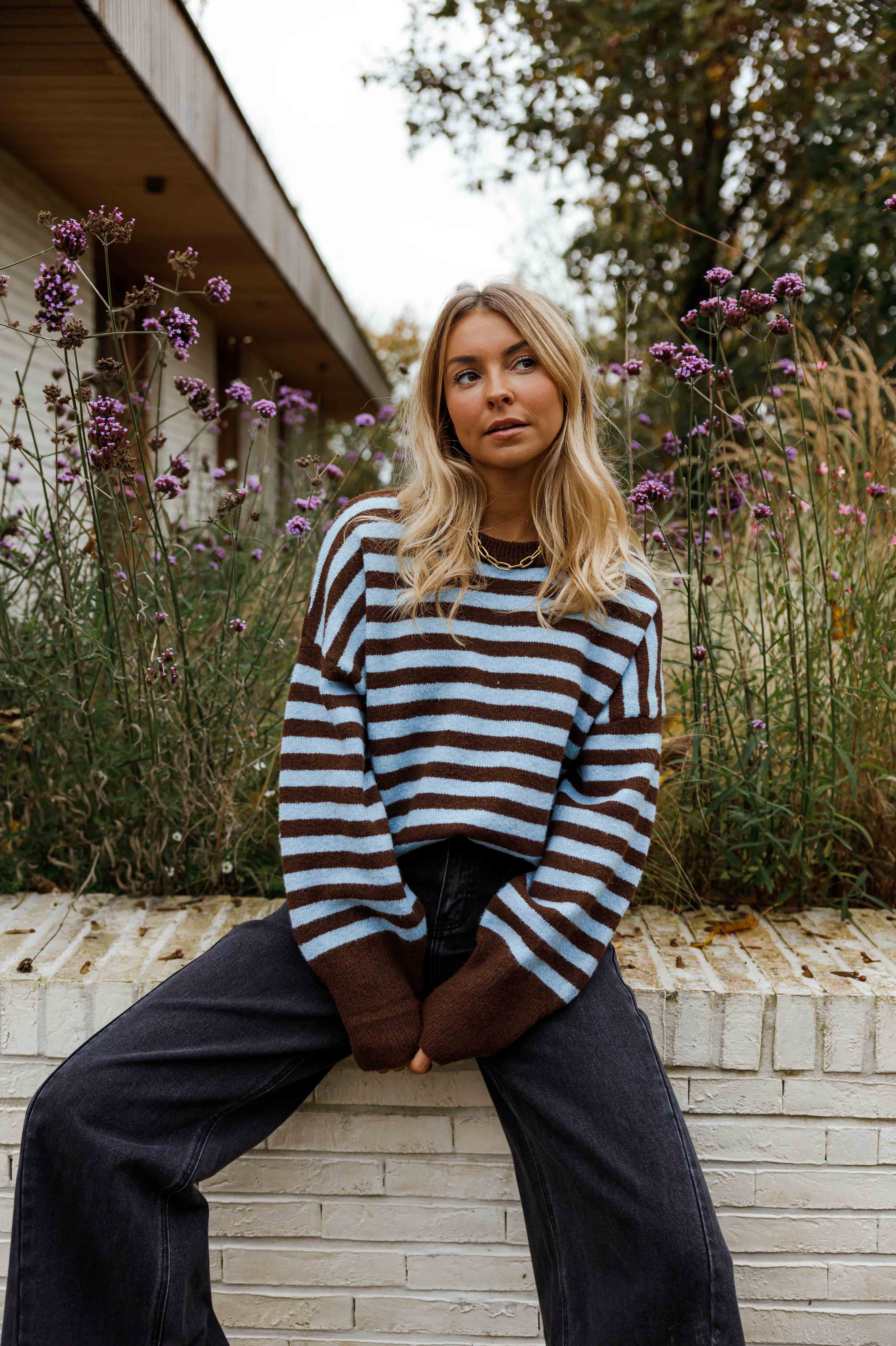 Brown and Blue Emilie Sweater