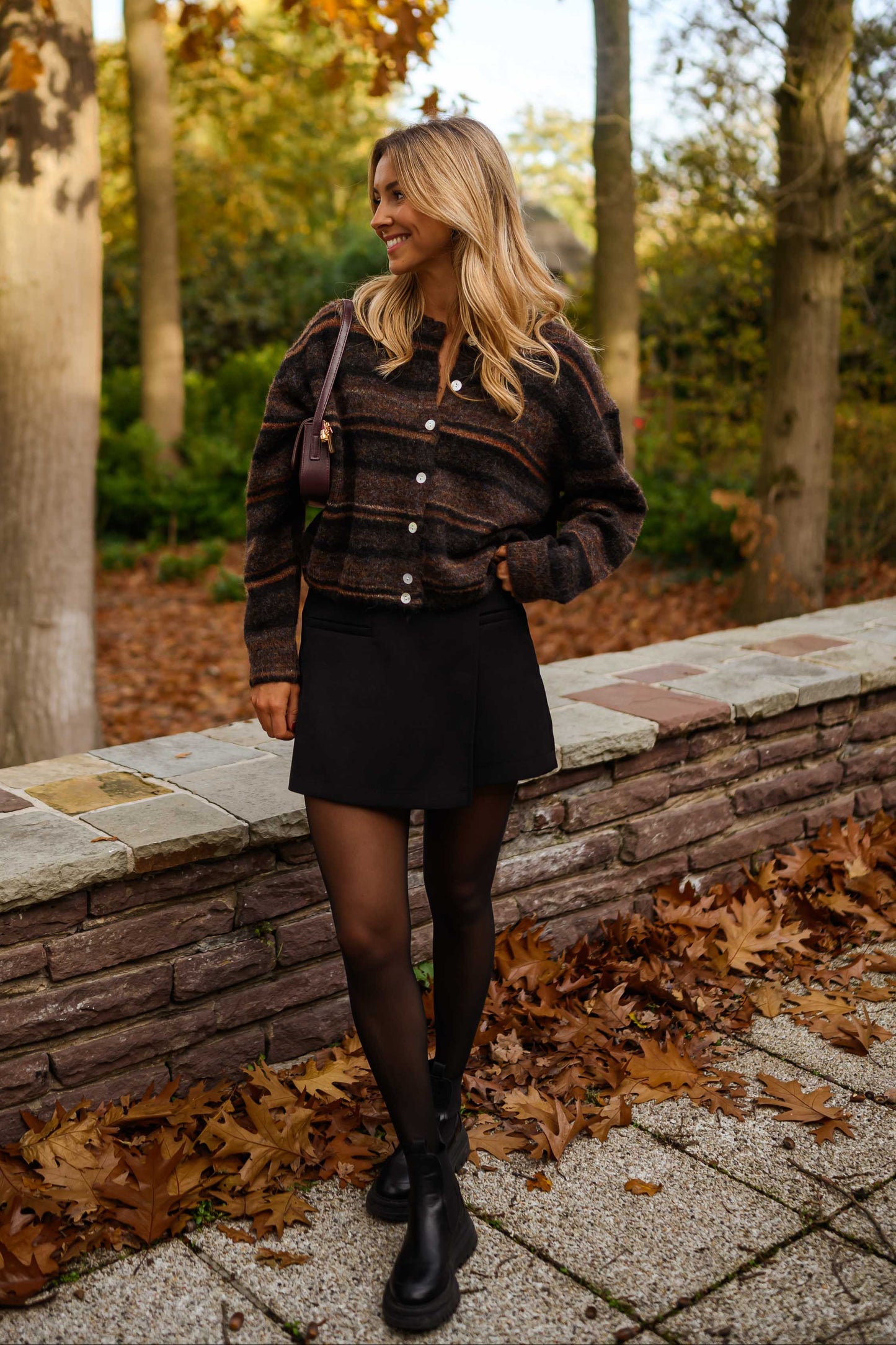 Brown Striped Audelia Cardigan