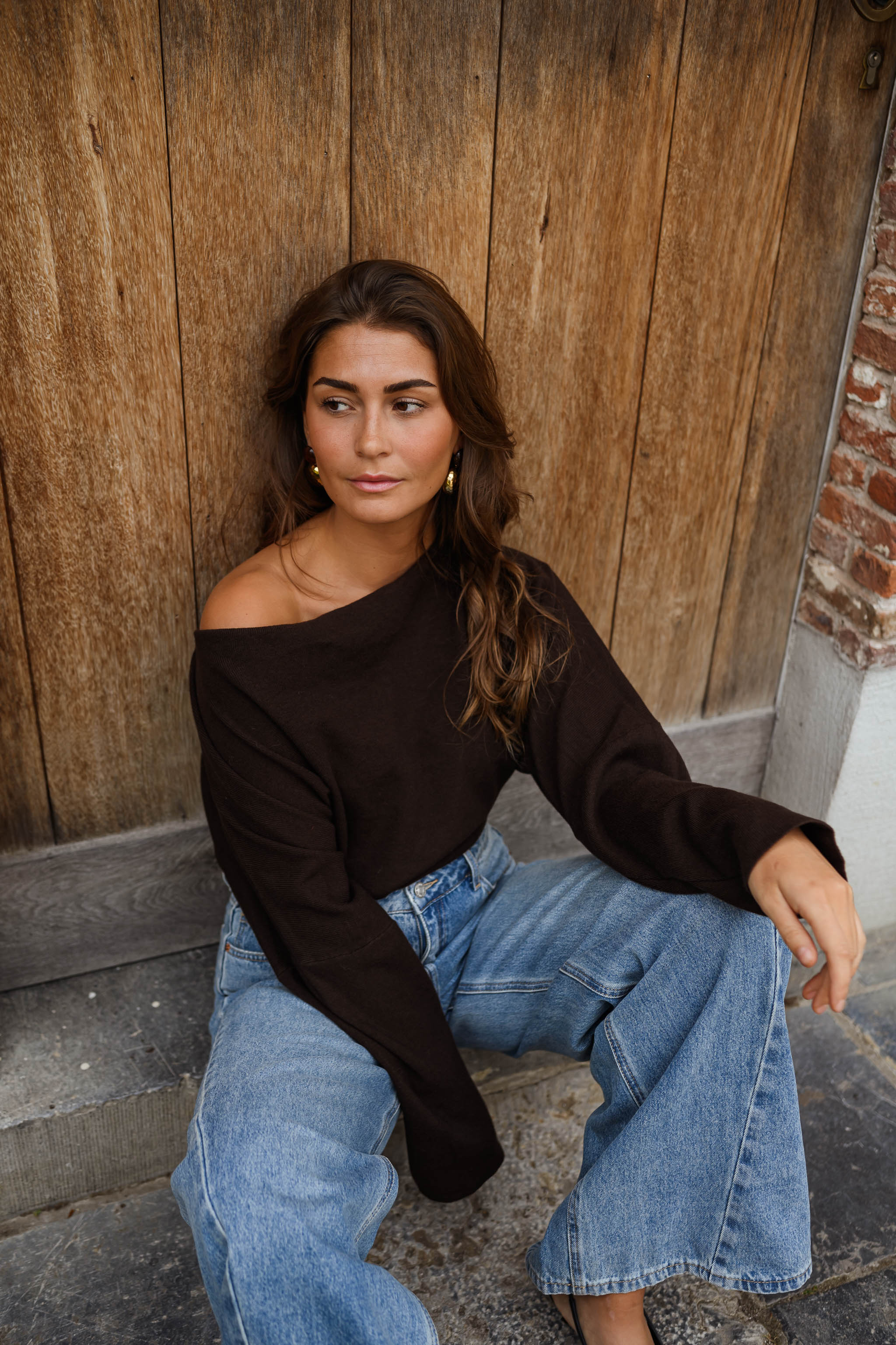 Chocolate Richard Sweater