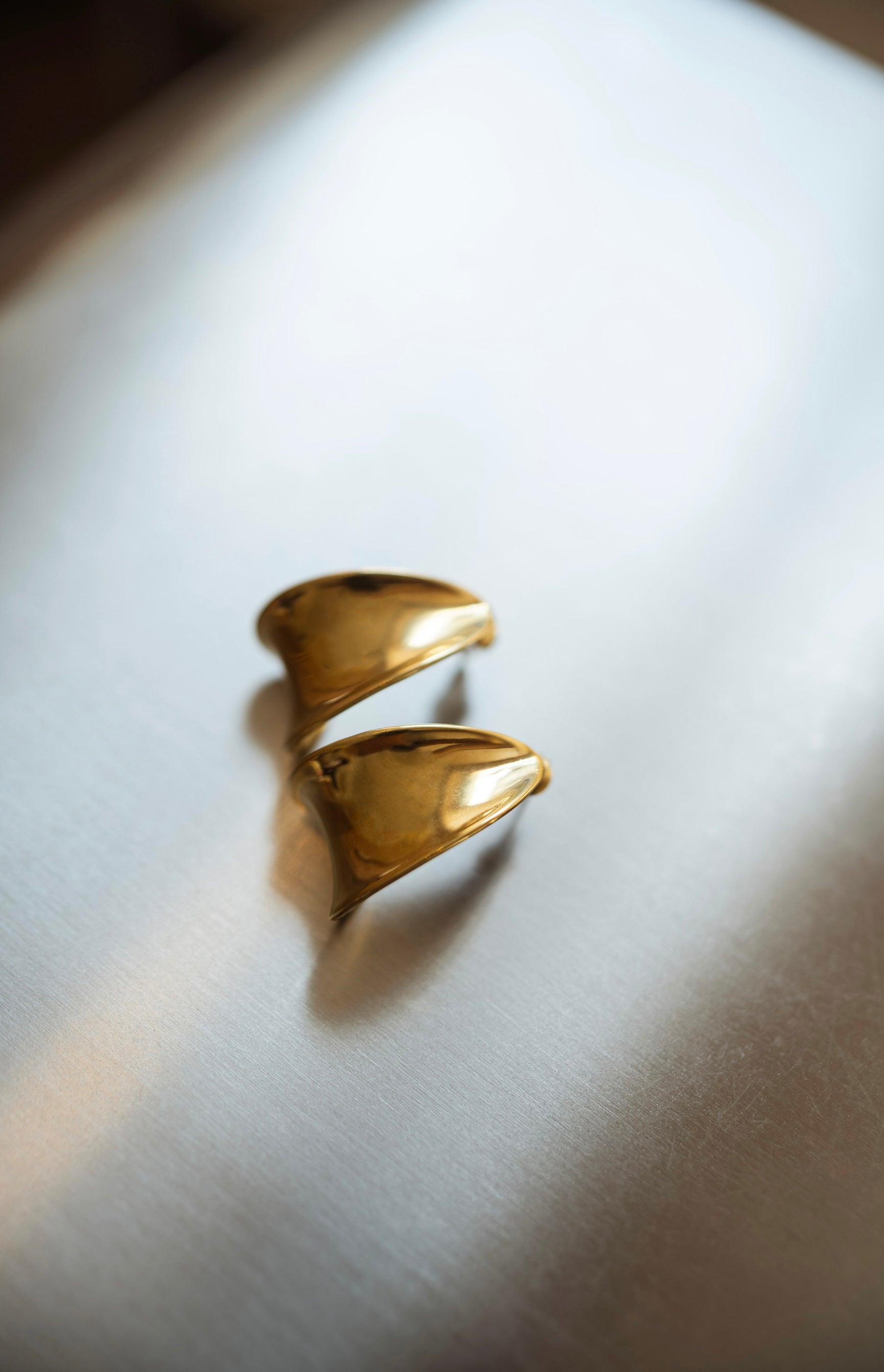 Golden Toby Earrings