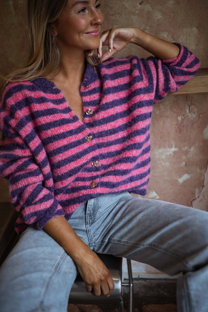 Pink and Purple Striped Cybelle Cardigan
